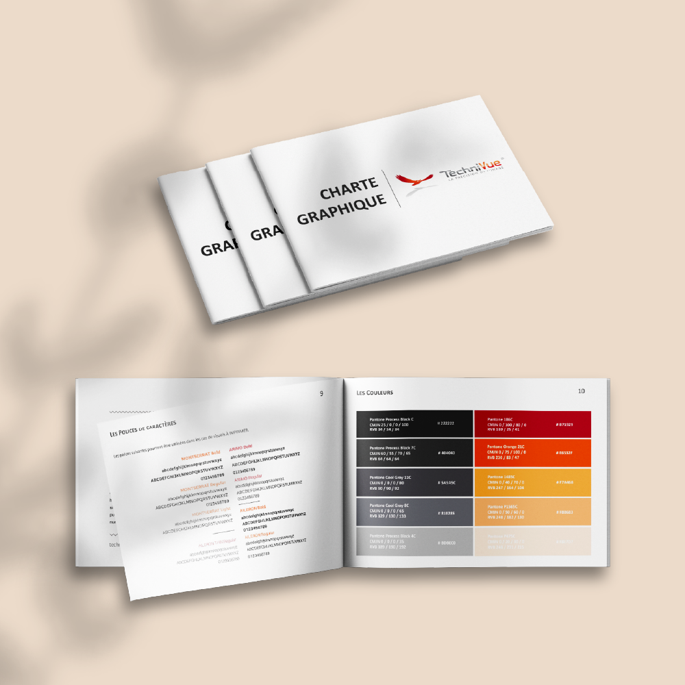 elea-design-portfolio-technivue-print-charte-graphique